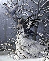 夫人请住手在线阅读免费完整版